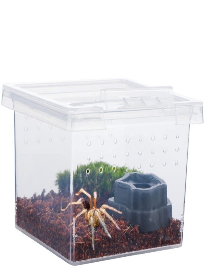 DQITJ 10 Pack Small Size Spider Terrariums Breeding Box Hatching Container Insect Scorpion Centipede Acrylic Breeding Box (with 10 Pcs Micro Water Bowl - Image 3